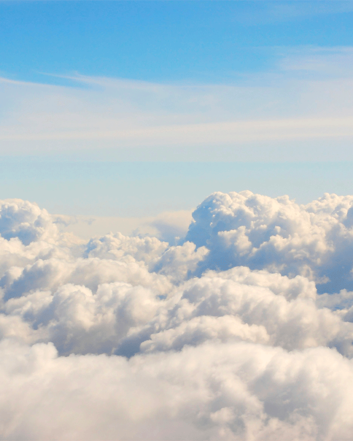Avoir la tête dans les nuages